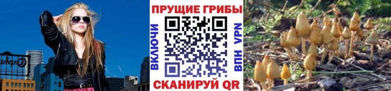 Псилоцибиновые грибы GOLDEN TEACHER  Переславль-Залесский 
