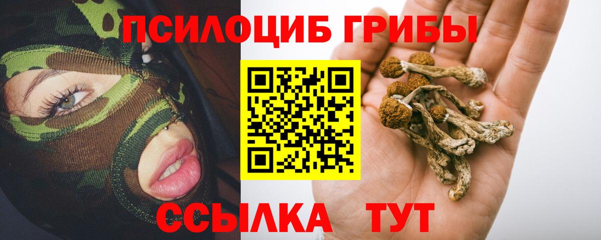закладки  Вход с VPN  Переславль-Залесский  Галлюциногенные грибы прущие грибы 